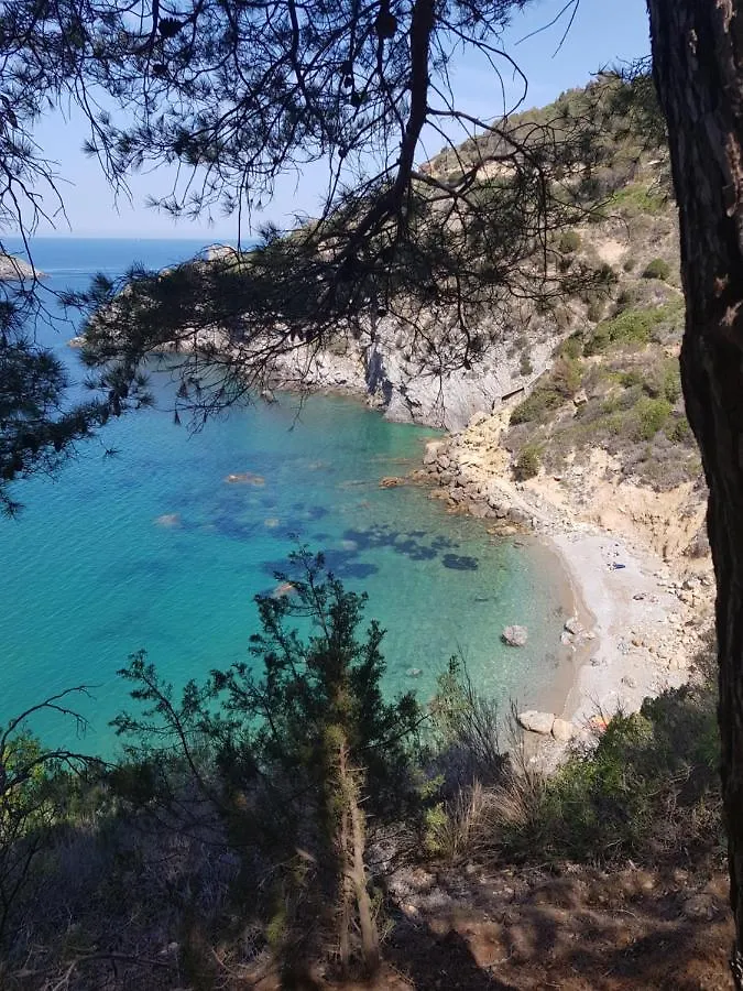 Residenza L'Ulivo Villa Alberese Holiday home