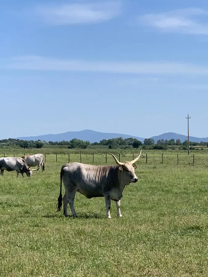 Сasa de vacaciones Villa Residenza L'Ulivo Alberese